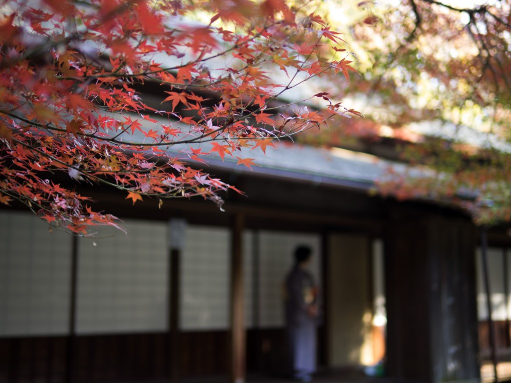横浜三溪園、月華殿の縁側に立つ和服女性