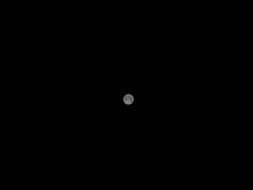 150mm（35mm換算）のレンズでスーパームーンを撮影。この焦点距離では、この程度の面積でしか月面が写らないものです。