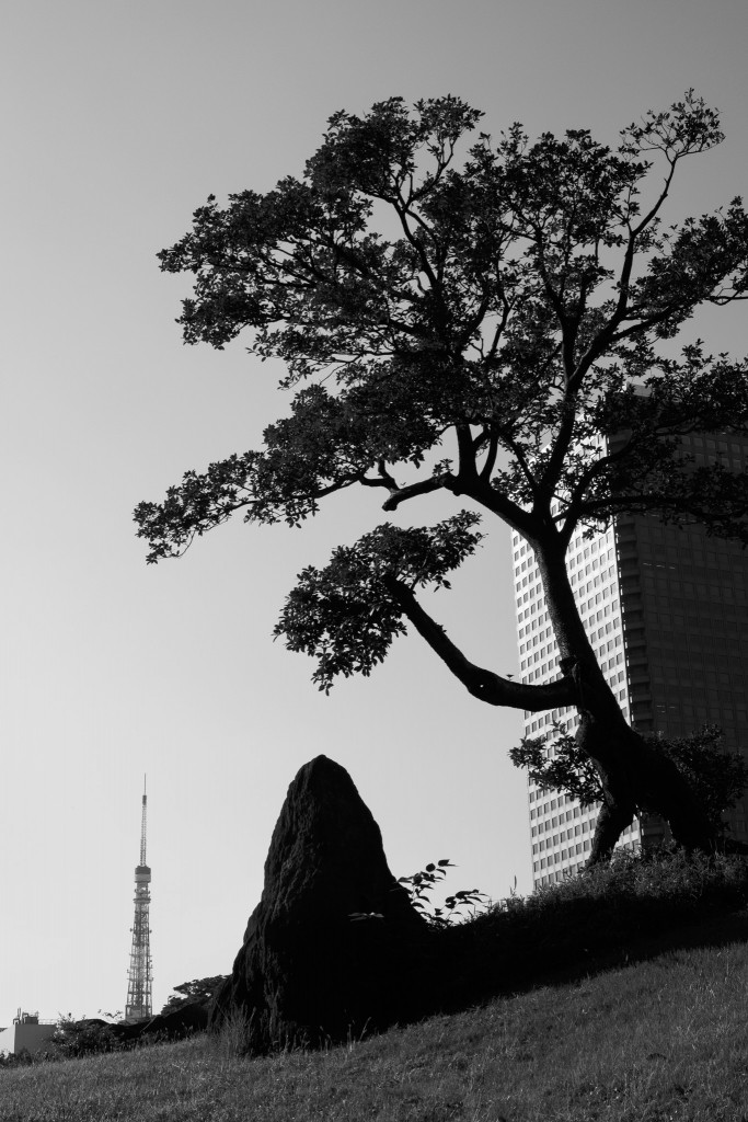 「Tokyo」。旧芝離宮恩賜庭園にて。